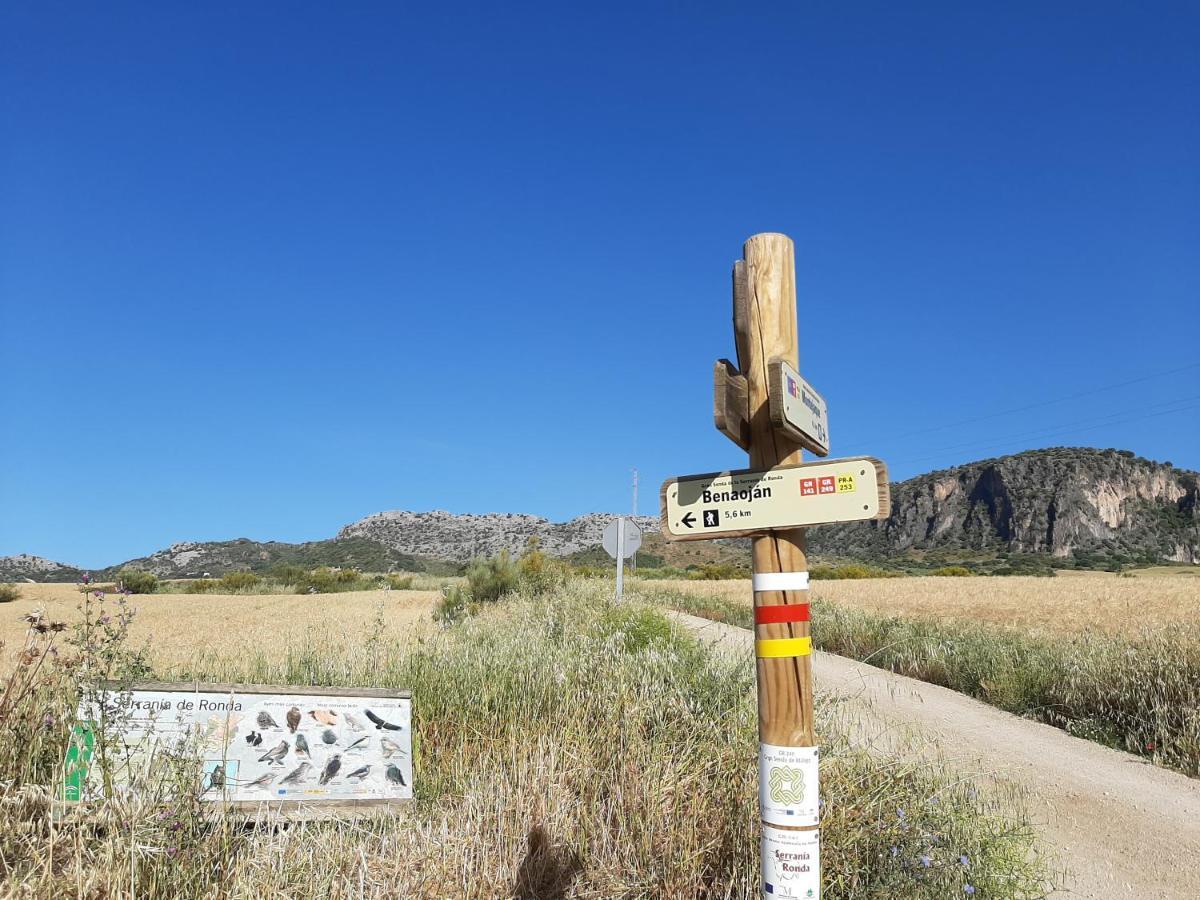 Huerta La Laja,Casa Grande Pensionat Ronda Exteriör bild